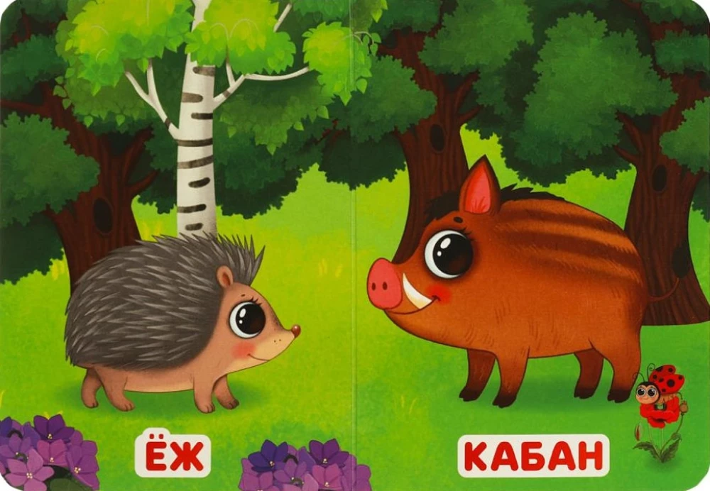 Forest Dwellers