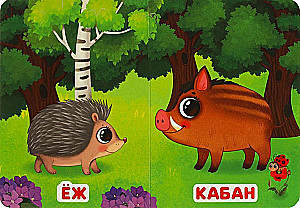 Forest Dwellers