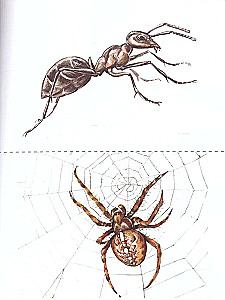 Visual and Handout Materials for the Youngest (Cards and Schemes). Appendices to the Manual - On the Way to the Alphabet. Forest Stories