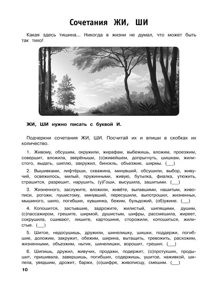 Russian Language. Training Exercises. 2nd Grade