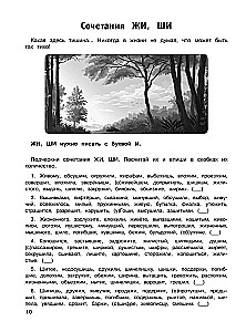 Russian Language. Training Exercises. 2nd Grade