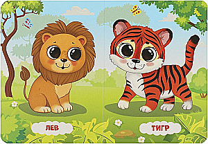 Zoo