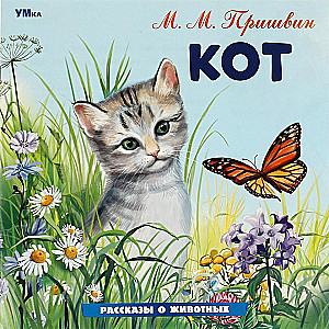 Kot