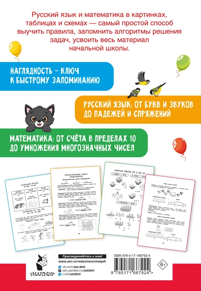 All Rules in Pictures. Russian Language and Mathematics