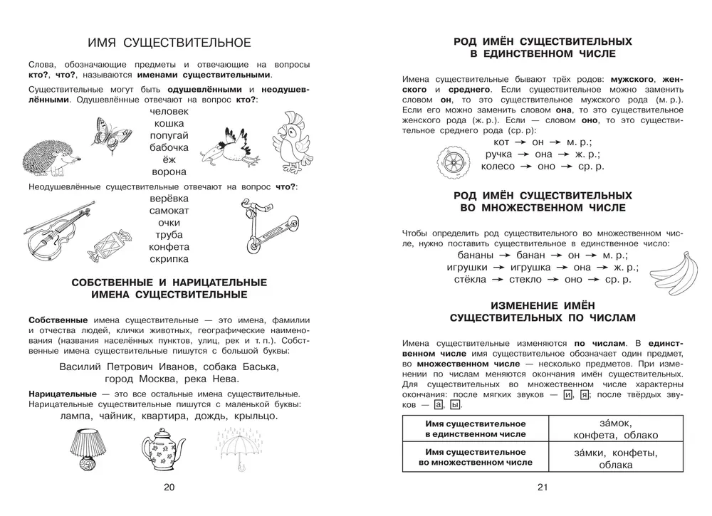 All Rules in Pictures. Russian Language and Mathematics