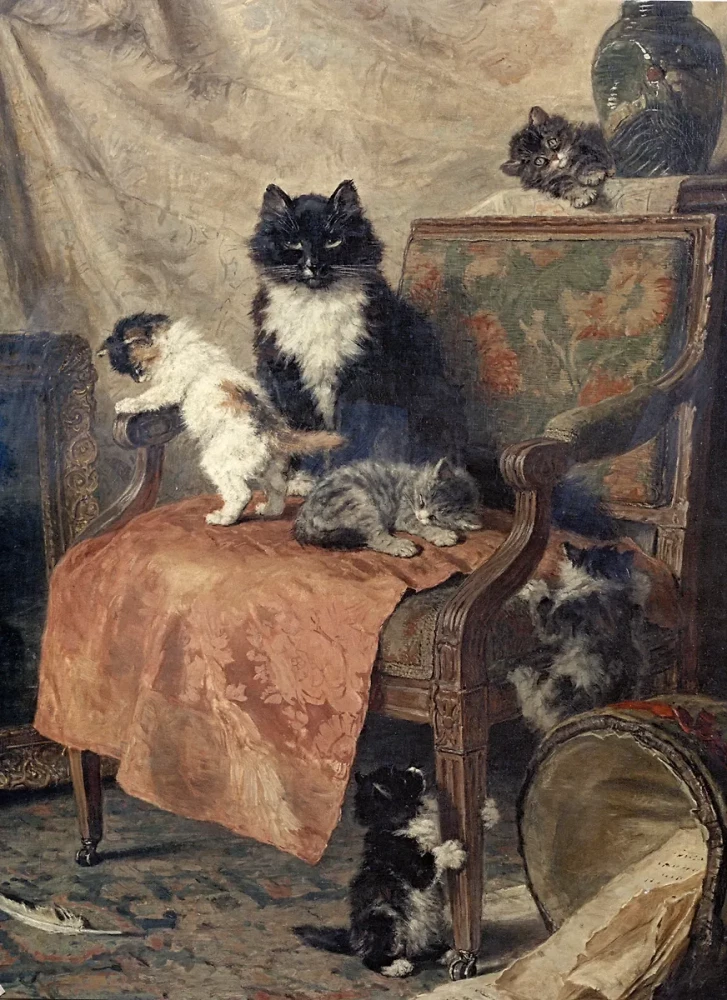 The Best Tales About Cats and Kittens