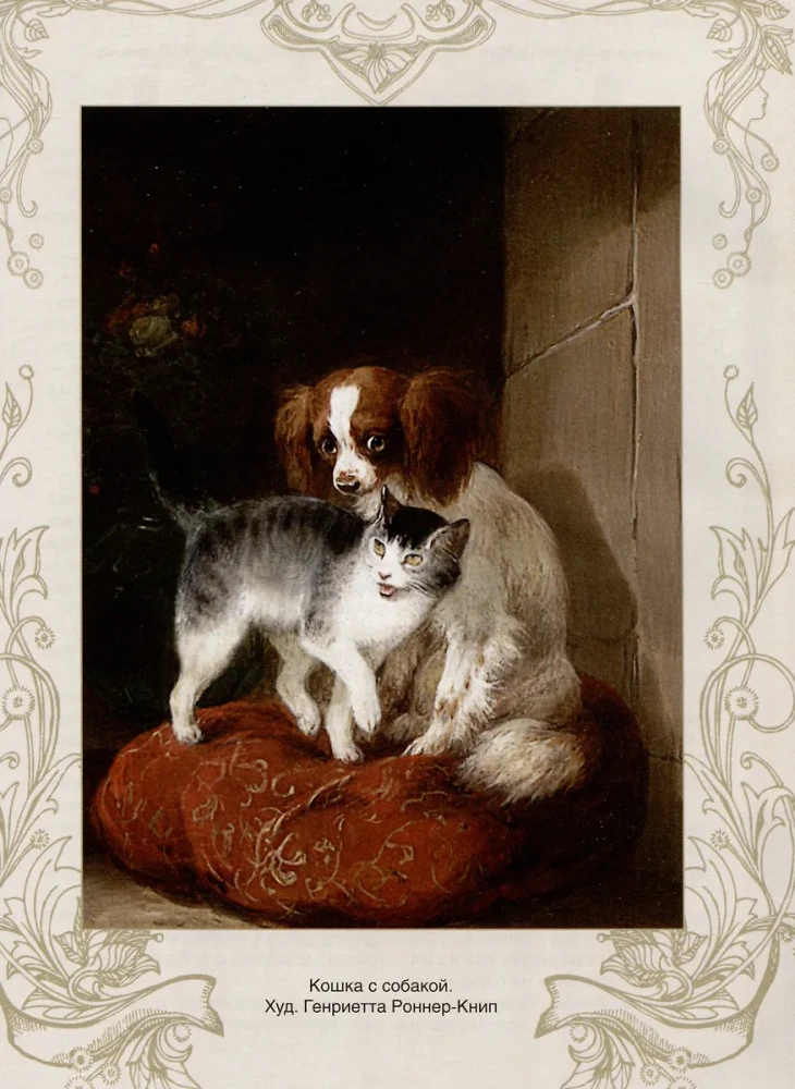 The Best Tales About Cats and Kittens