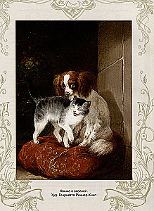 The Best Tales About Cats and Kittens