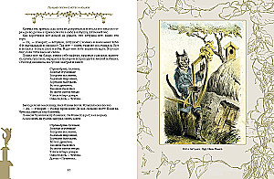The Best Tales About Cats and Kittens