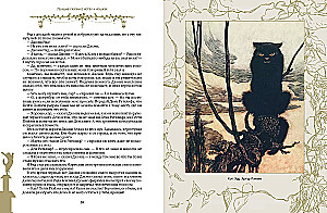 The Best Tales About Cats and Kittens