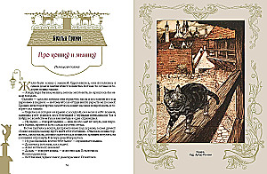 The Best Tales About Cats and Kittens