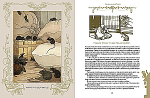 The Best Tales About Cats and Kittens