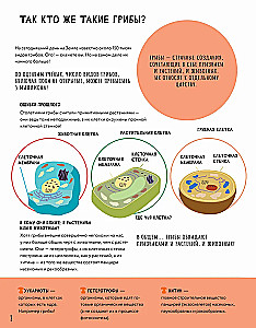 The Secrets of Mushrooms