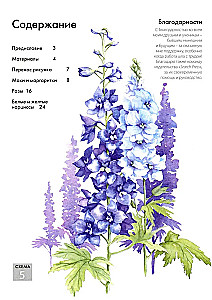 Ordner mit Aquarellpapier Magische Blumen. Male mit Aquarell + Broschüre
