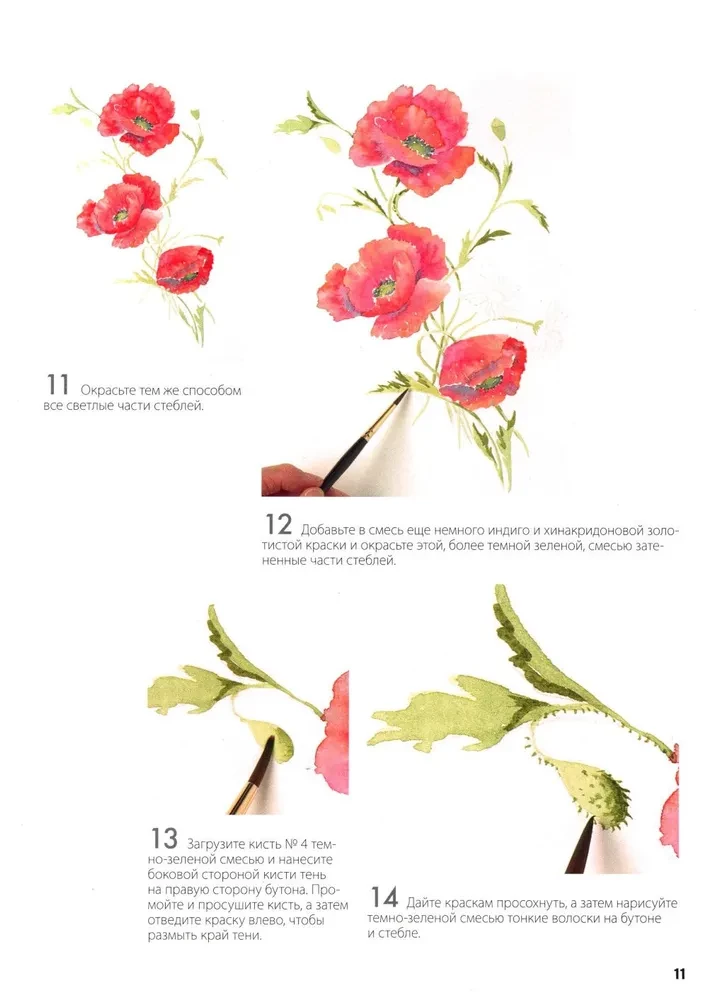 Ordner mit Aquarellpapier Magische Blumen. Male mit Aquarell + Broschüre