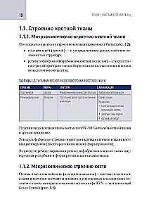 Modern Technologies for Bone Tissue Defect Replacement