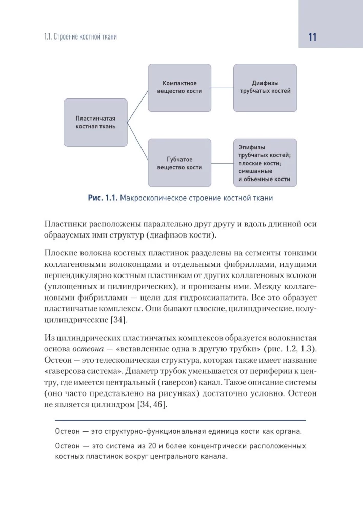 Modern Technologies for Bone Tissue Defect Replacement