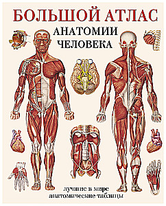 The Grand Atlas of Human Anatomy