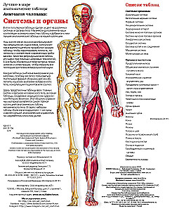 The Grand Atlas of Human Anatomy