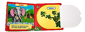 Zoo