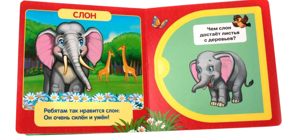 Zoo