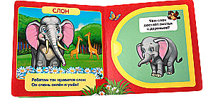 Zoo