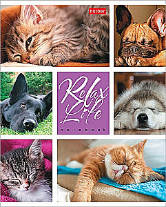 Notatnik - Relax Life, A5, 24 kartki, w asortymencie