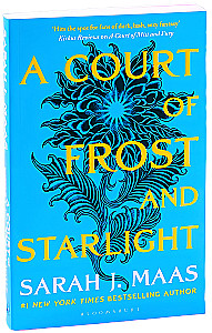 Ein Gericht aus Frost und Sternenlicht