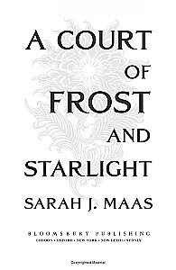 Ein Gericht aus Frost und Sternenlicht