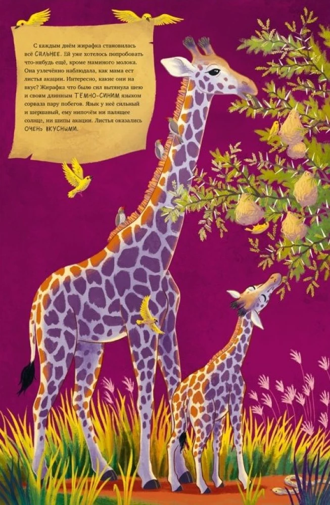 Kleine Giraffe. Abenteuer in der Savanne