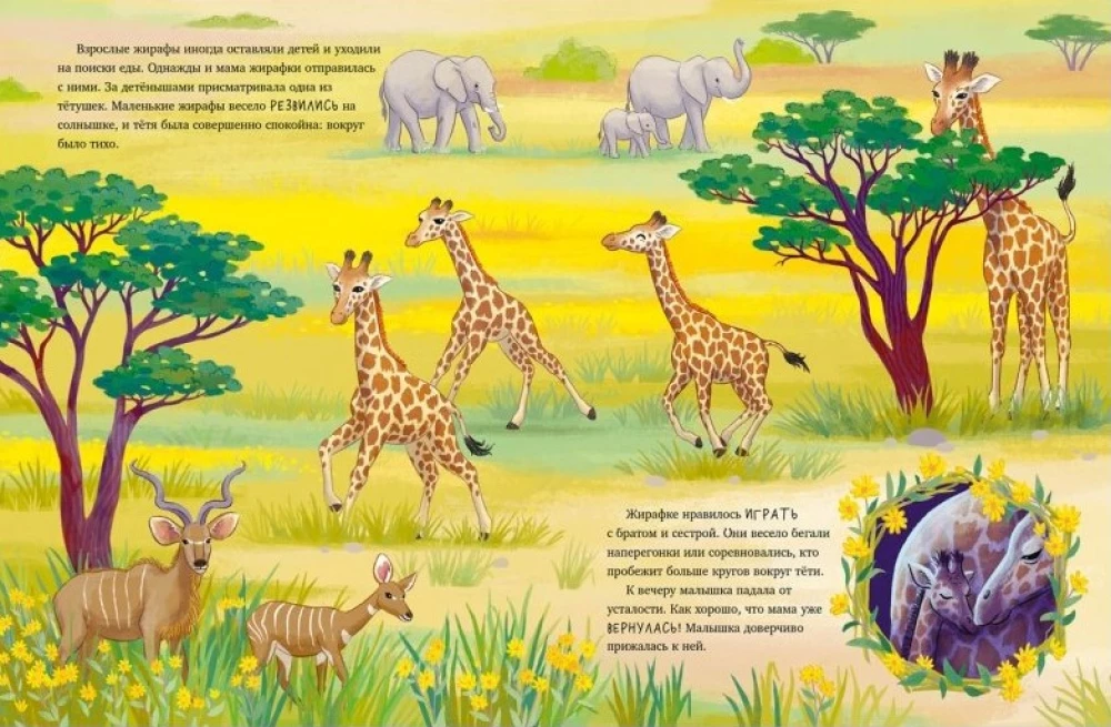 Kleine Giraffe. Abenteuer in der Savanne