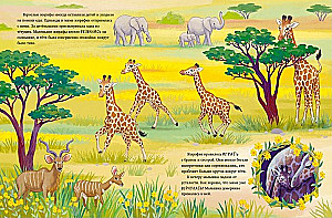 Kleine Giraffe. Abenteuer in der Savanne