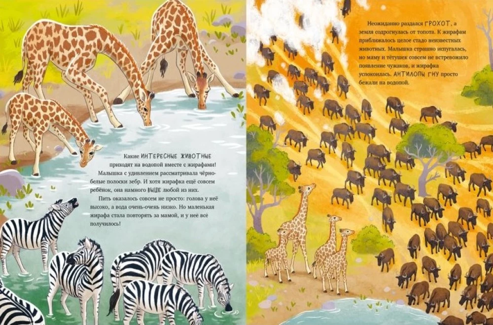 Kleine Giraffe. Abenteuer in der Savanne