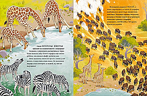 Kleine Giraffe. Abenteuer in der Savanne