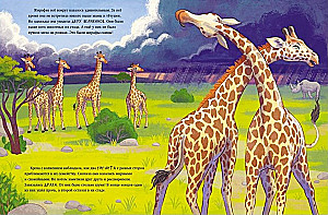 Kleine Giraffe. Abenteuer in der Savanne
