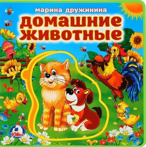 Šunys ir katės