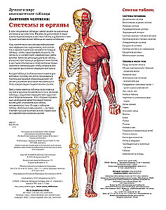 Wielki atlas anatomii człowieka