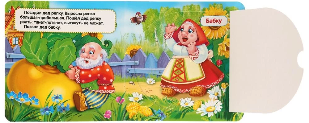 Die Rübe