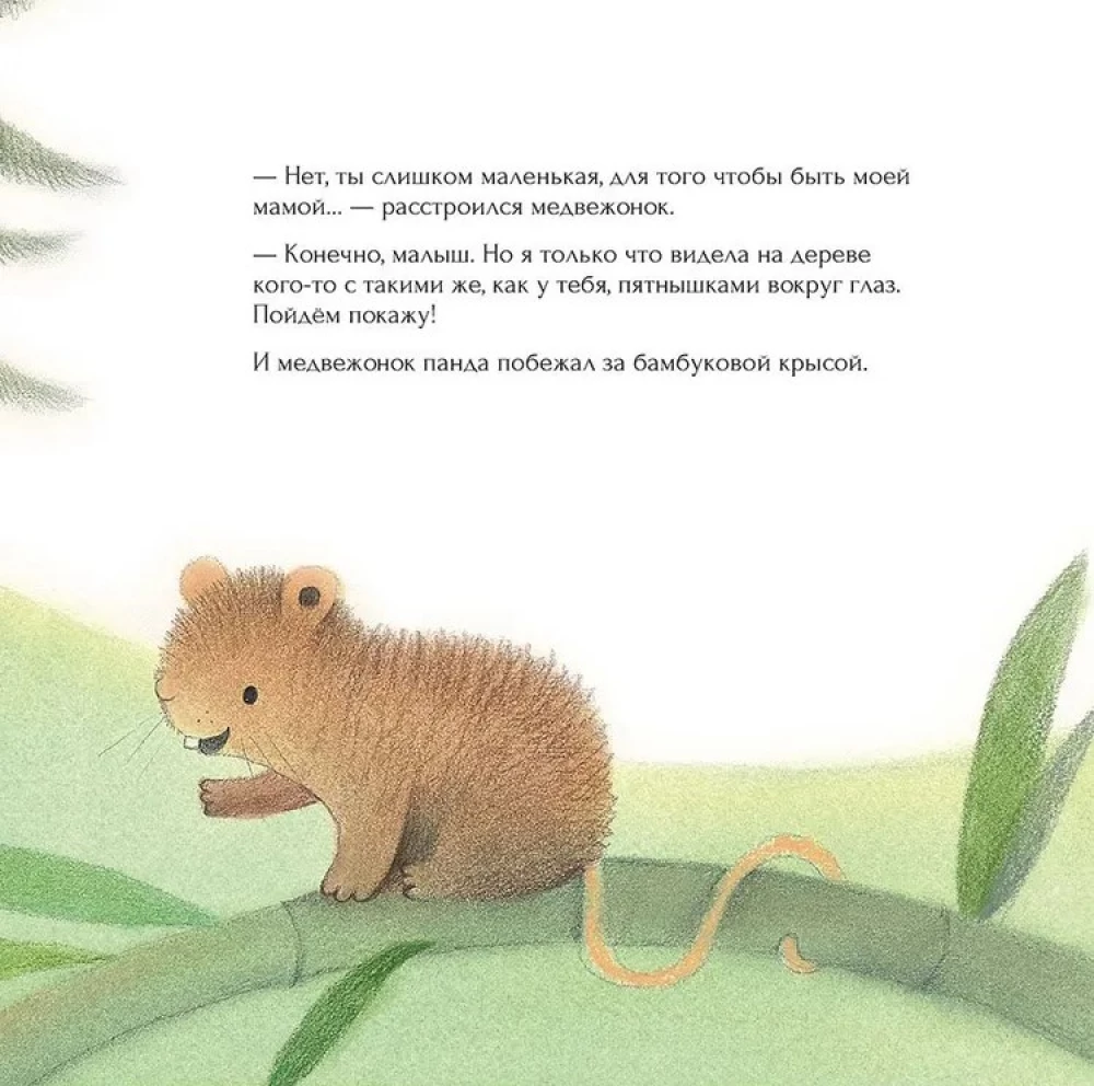 Kaimynas panda pasiklydo