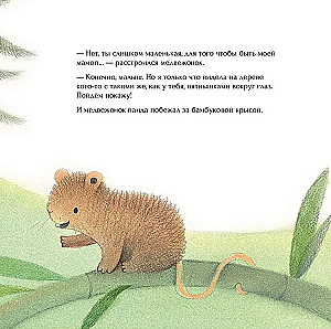 Kaimynas panda pasiklydo
