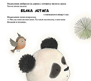 Kaimynas panda pasiklydo