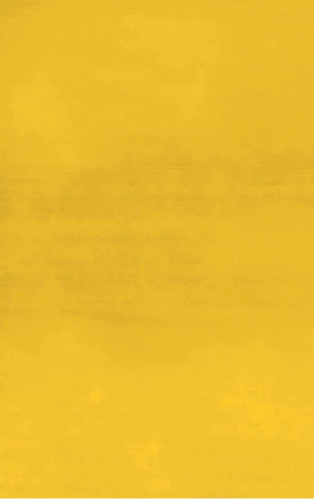 Mark Rothko. Wunder der Malerei. Biografie des großen Künstlers
