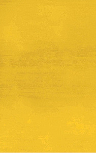 Mark Rothko. Wunder der Malerei. Biografie des großen Künstlers