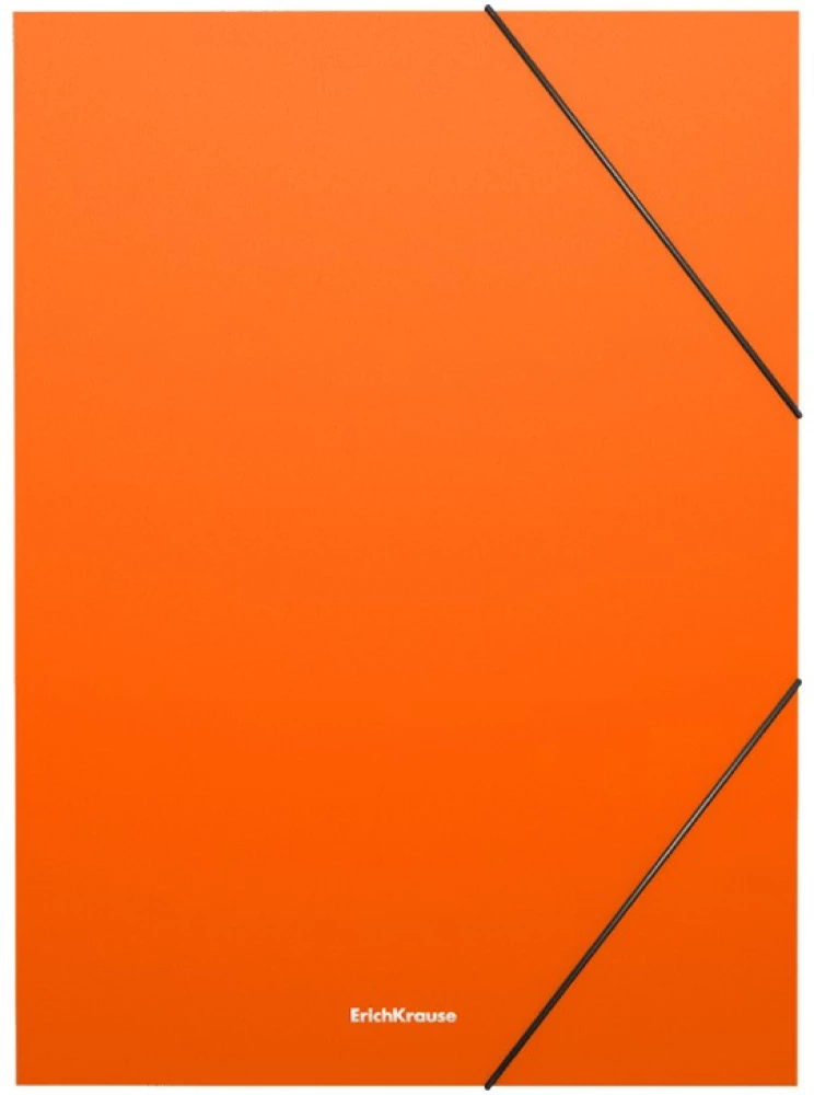 Rubber Band Folder Matt Neon (Assorted)
