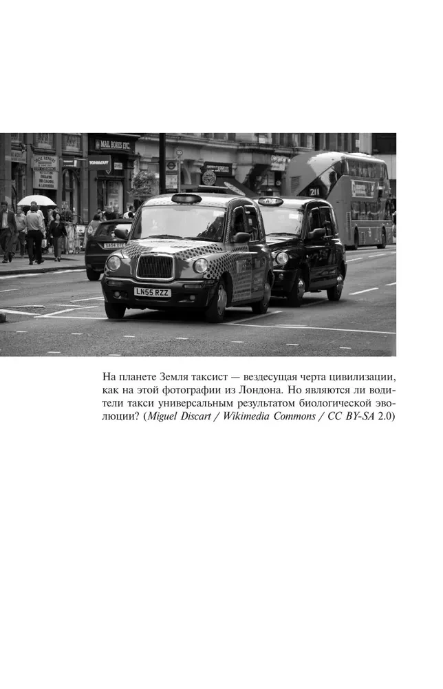 Conversations with Taxi Drivers about Life and the Universe