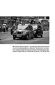 Conversations with Taxi Drivers about Life and the Universe