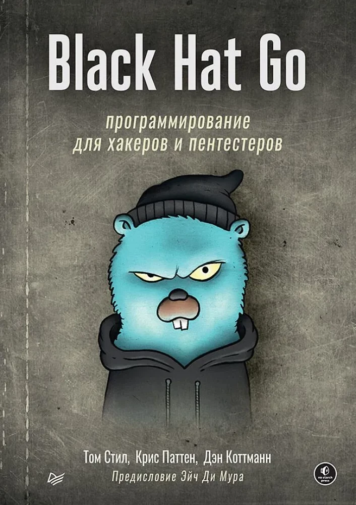 Black Hat Go. Programmierung für Hacker und Pentester
