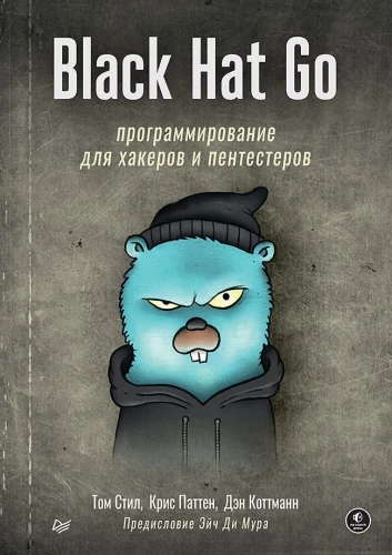 Black Hat Go. Programmierung für Hacker und Pentester