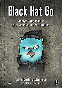 Black Hat Go. Programmierung für Hacker und Pentester