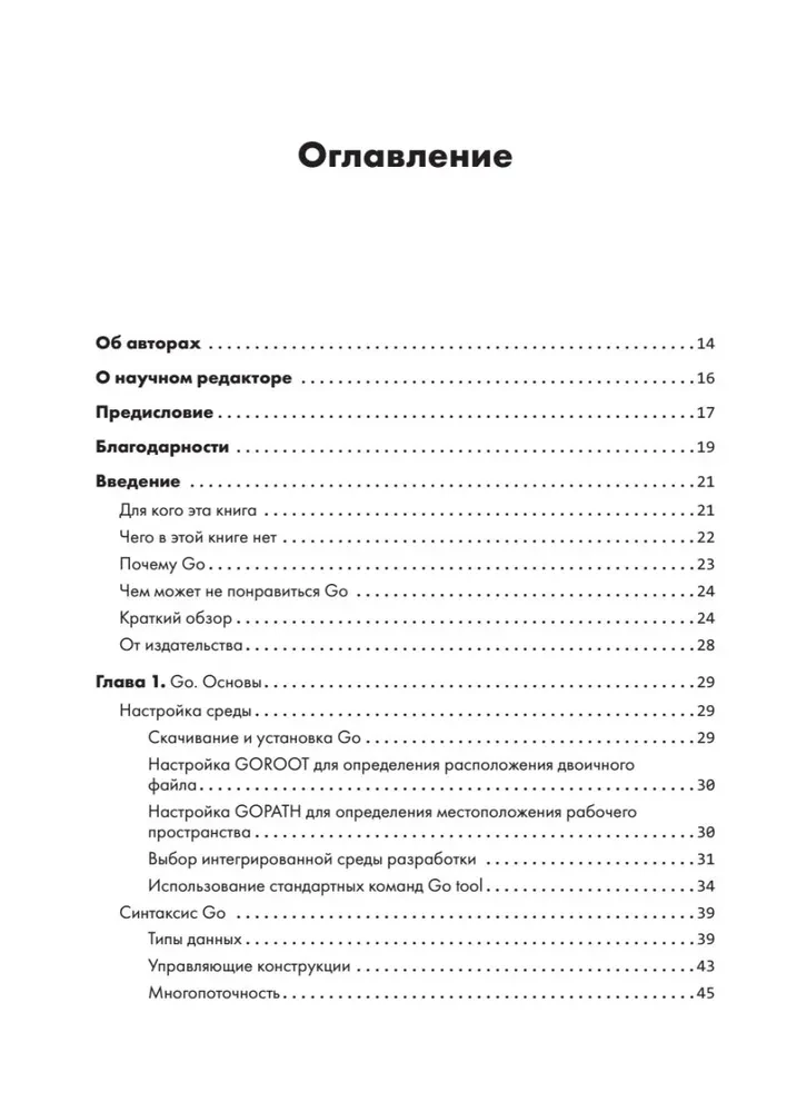 Black Hat Go. Programmierung für Hacker und Pentester
